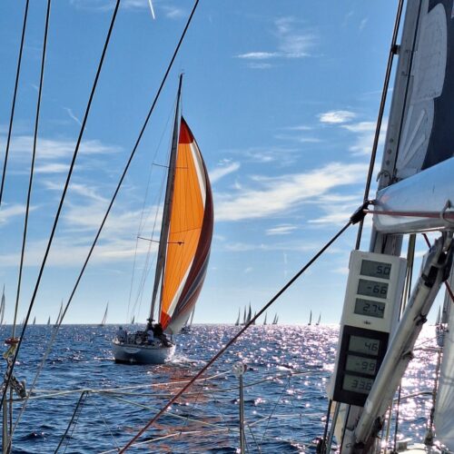 Juris cup avec On fait de la voile - teambuilding et régate d'entreprise