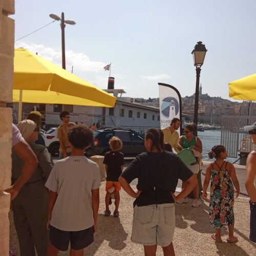 L'été marseillais avec Marseille capitale de la mer